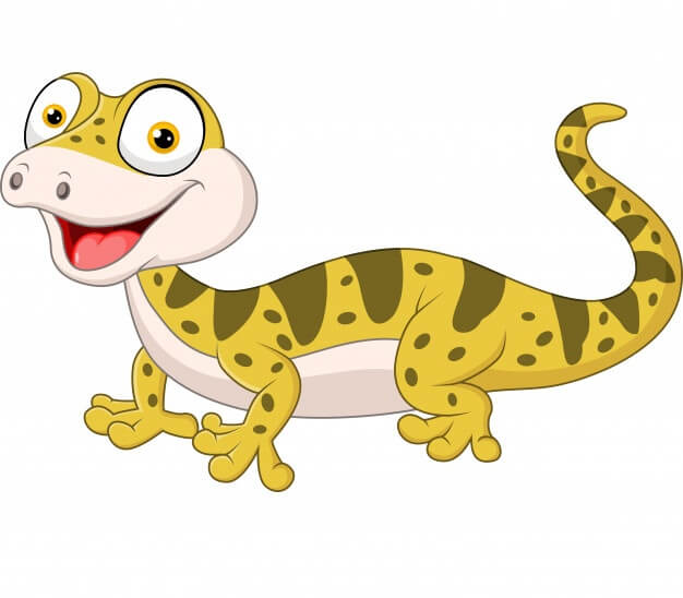 Leopard Gecko Home 2