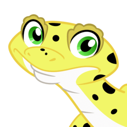 Leopard Gecko Home 1