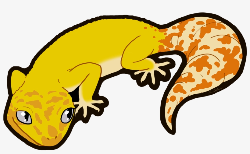 leopard gecko