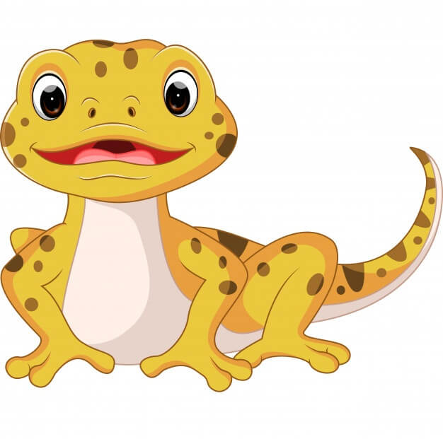 Leopard Gecko Home 3